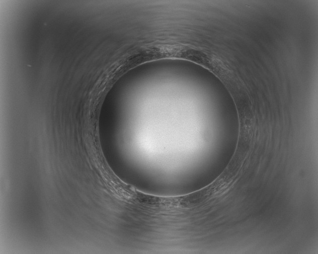 X0000055991249200508221247