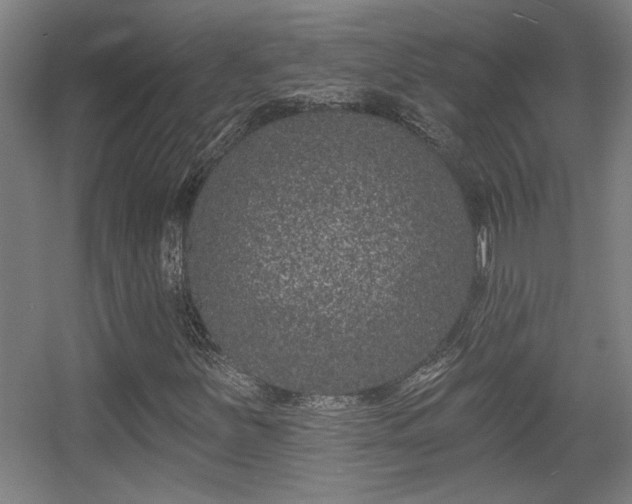 X0000055991251200508221247