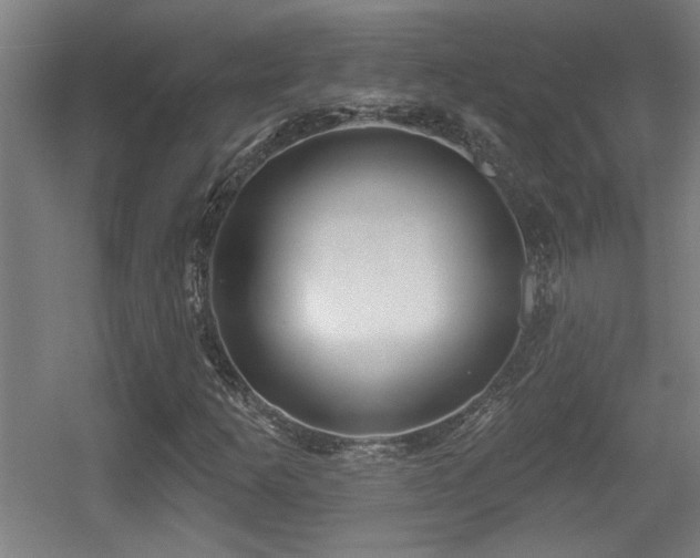 X0000055991253200508221247