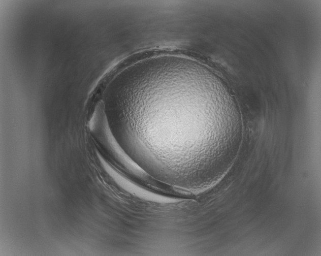 X0000055991256200508221247