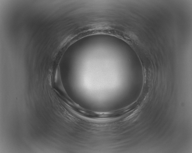 X0000055991257200508221247