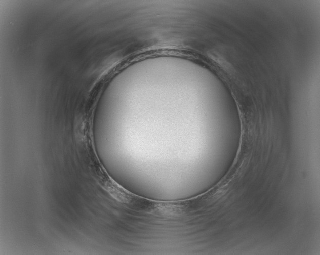X0000055991258200508221247