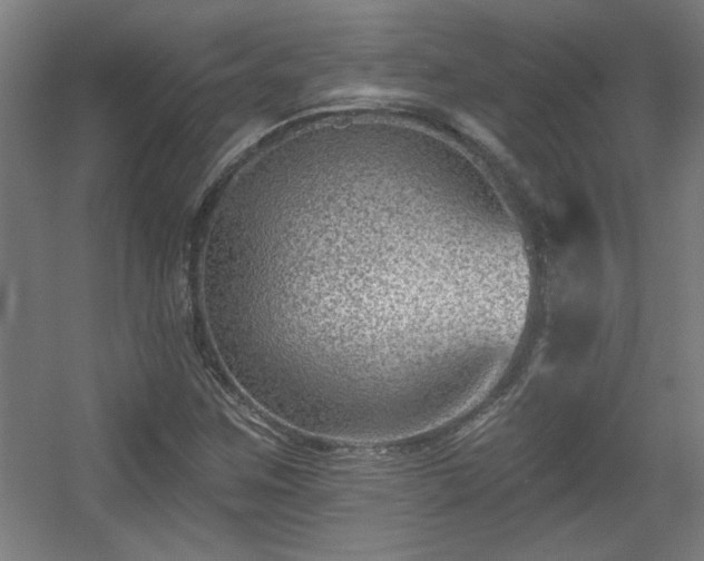 X0000055991259200508221247
