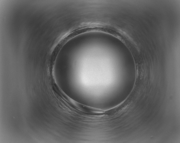 X0000055991261200508221247