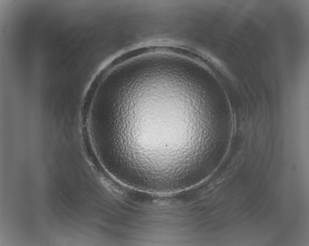 X0000055991264200508221247