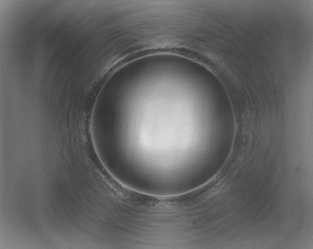 X0000055991265200508221247