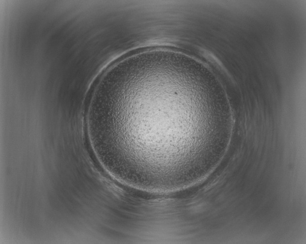 X0000055991268200508221247