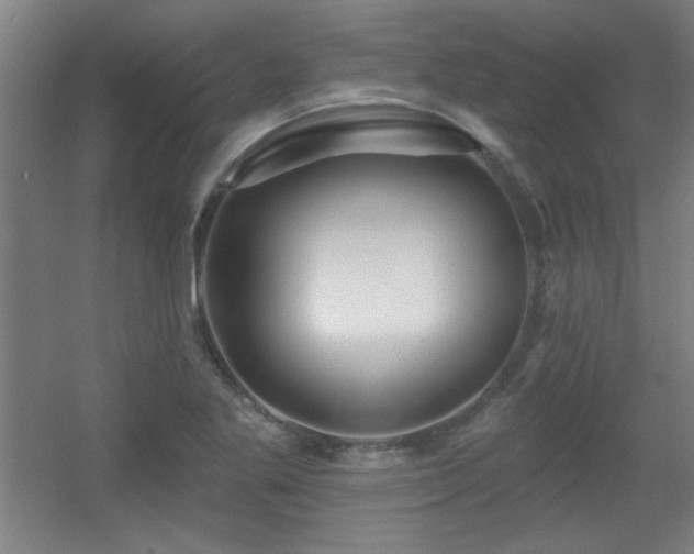 X0000055991269200508221247