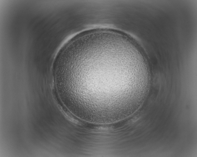 X0000055991271200508221247