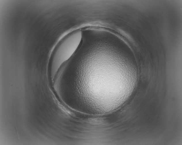 X0000055991272200508221247