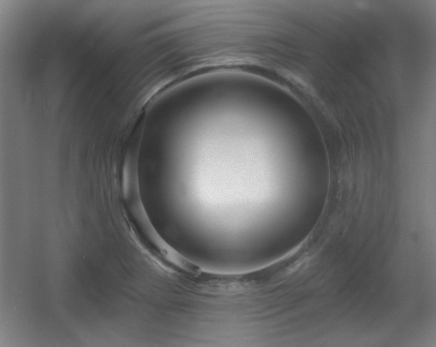 X0000055991273200508221247