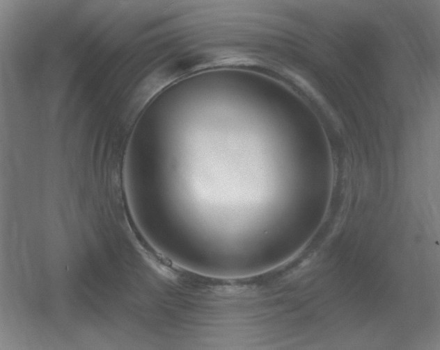 X0000055991281200508221247