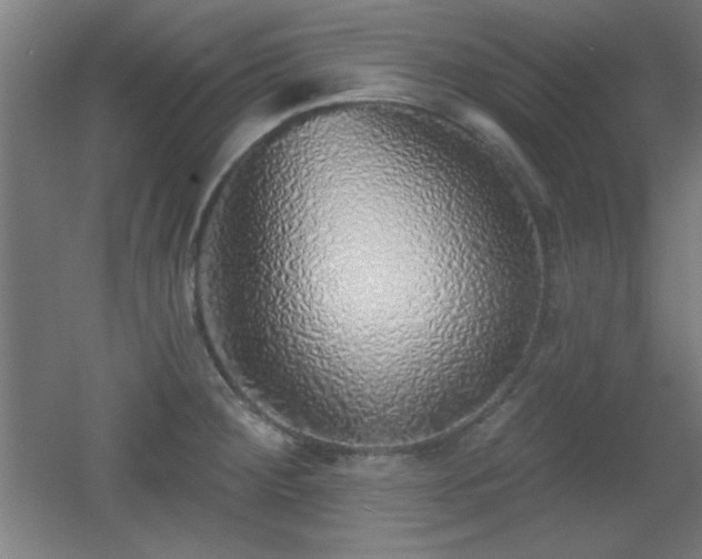 X0000055991284200508221247