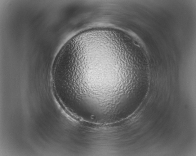 X0000055991287200508221247