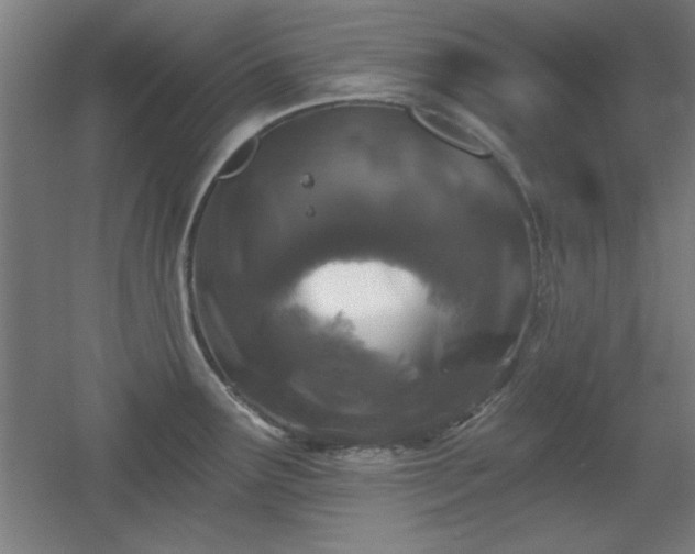 X0000055991291200508221247