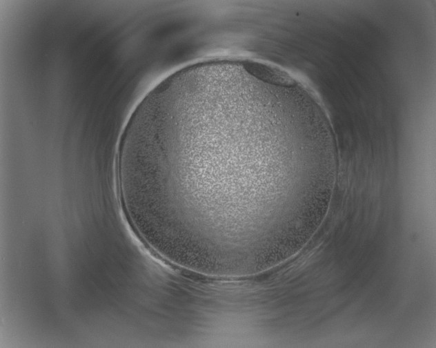 X0000055991295200508221247