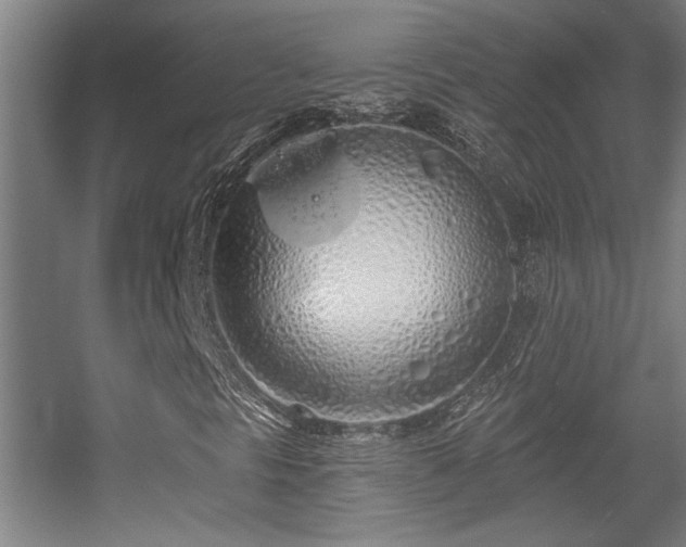 X0000055991297200508221246