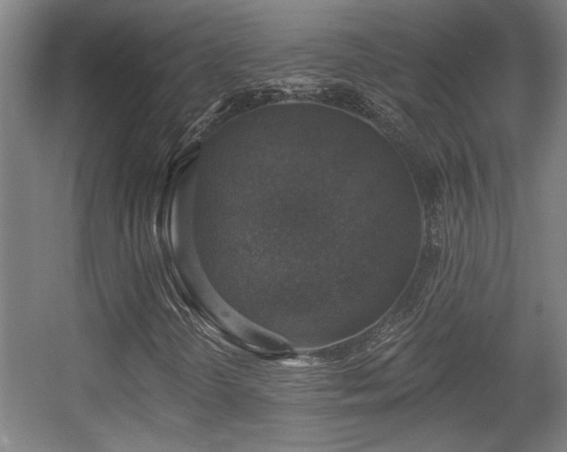 X0000055991298200508221246
