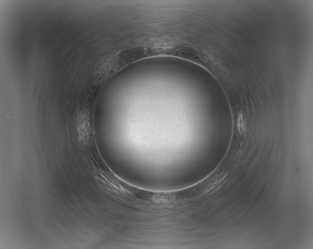 X0000055991299200508221246