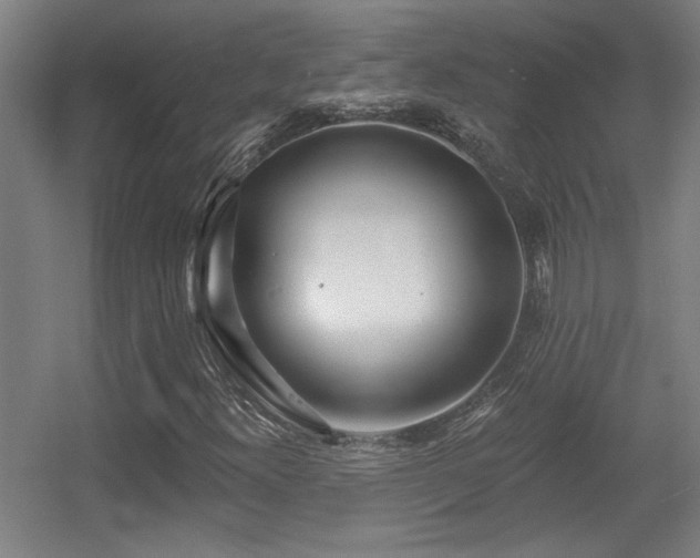 X0000055991300200508221246