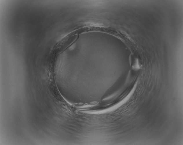 X0000055991303200508221246