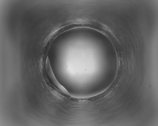 X0000055991304200508221246