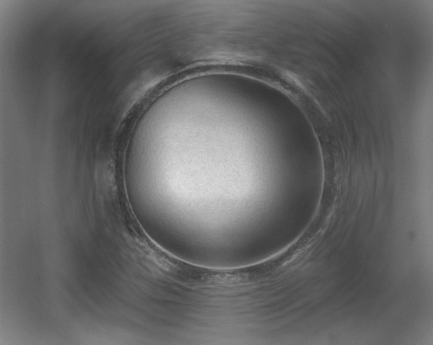 X0000055991307200508221246
