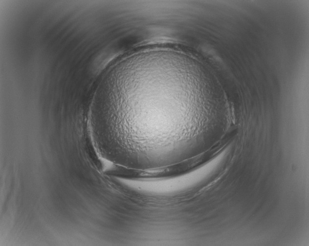 X0000055991313200508221246