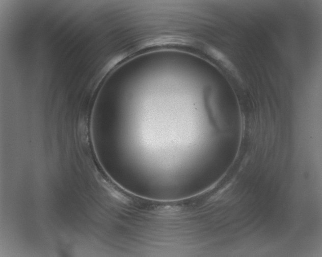 X0000055991321200508221246