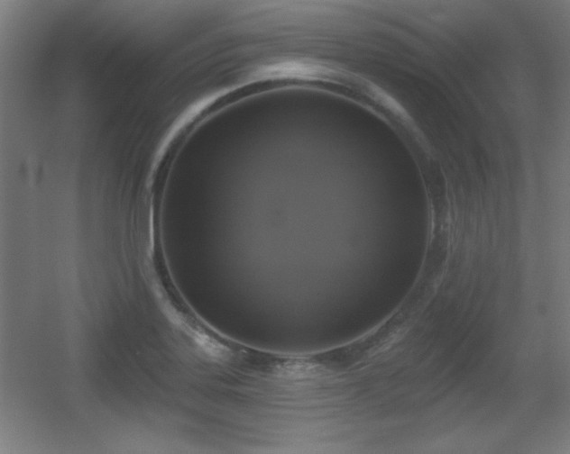 X0000055991323200508221246