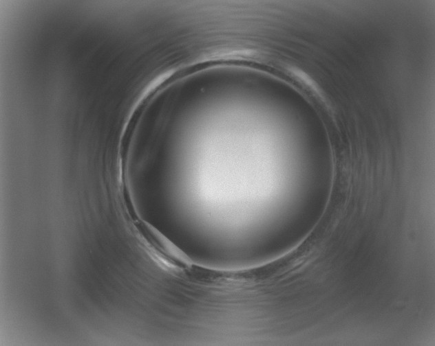 X0000055991324200508221246