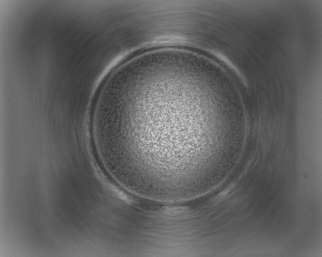 X0000055991325200508221246