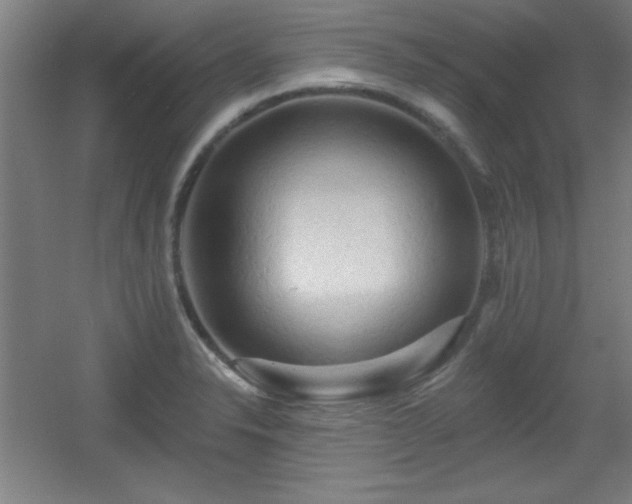 X0000055991326200508221246
