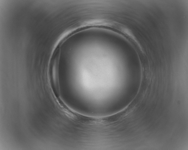 X0000055991328200508221246