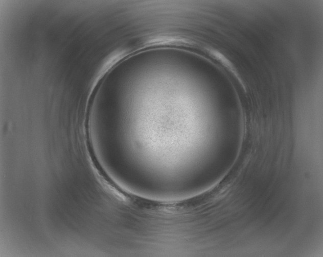 X0000055991330200508221246
