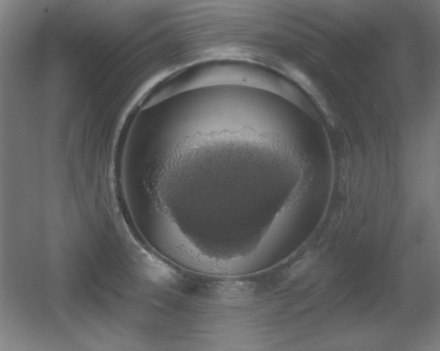 X0000055991331200508221246