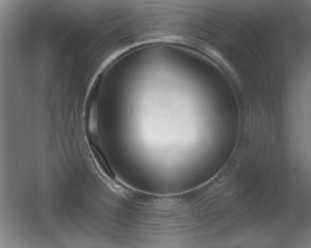 X0000055991332200508221246