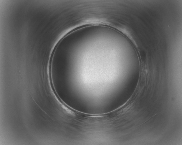 X0000055991343200508221247