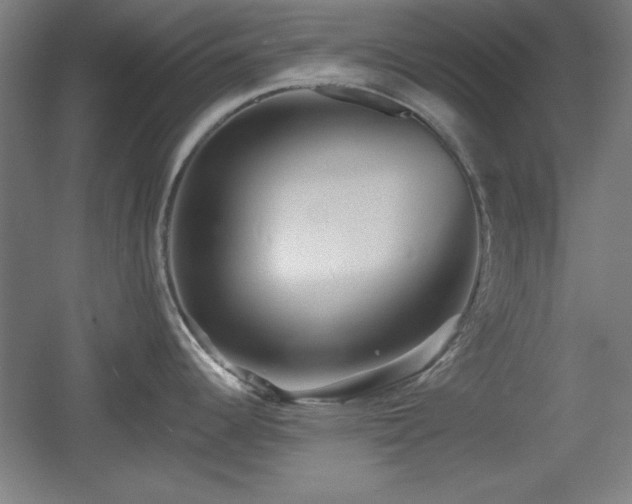 X0000055991344200508221247