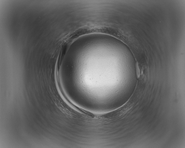 X0000055991348200508221246