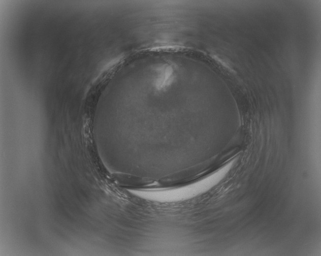 X0000055991351200508221246