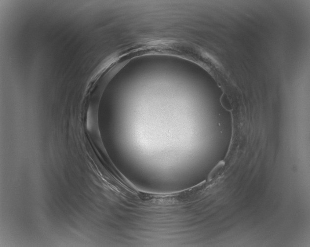 X0000055991354200508221246