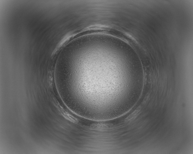 X0000055991355200508221246