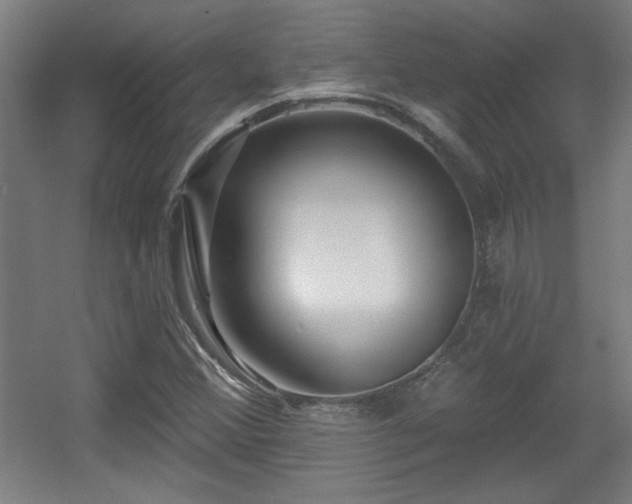 X0000055991356200508221246