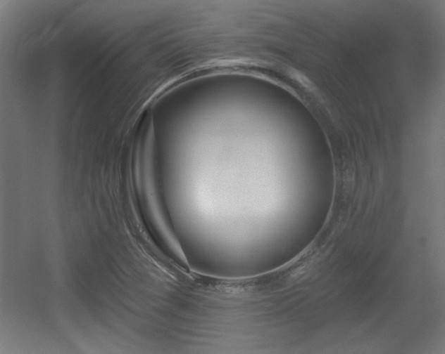 X0000055991361200508221245