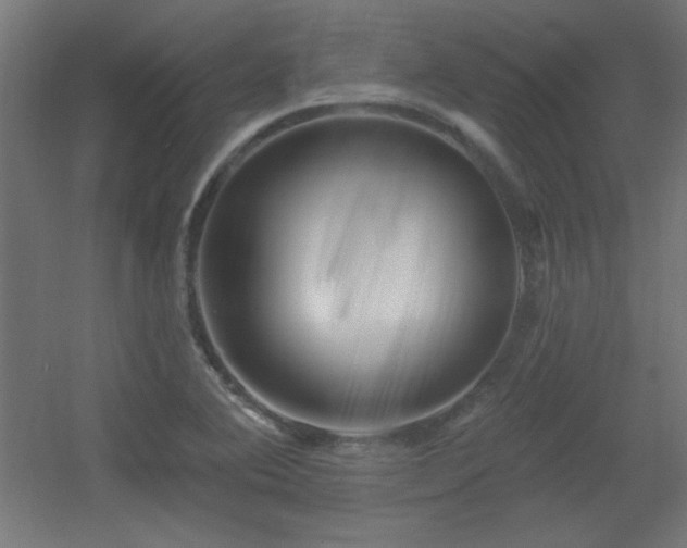 X0000055991364200508221245