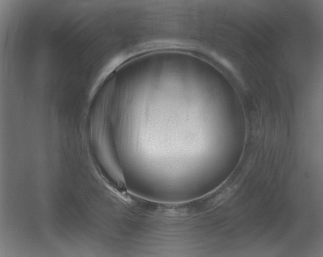 X0000055991365200508221245
