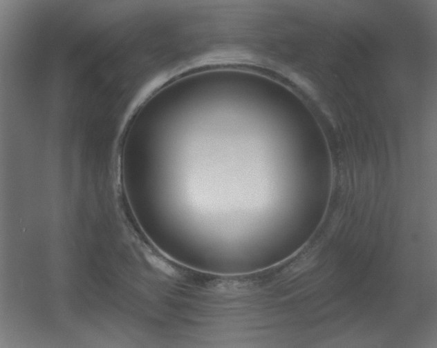X0000055991366200508221245