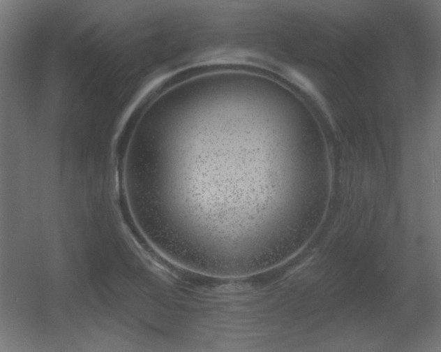 X0000055991368200508221245