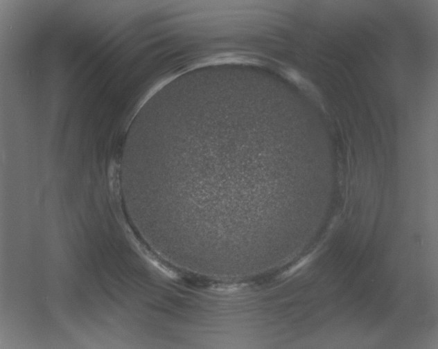 X0000055991369200508221245